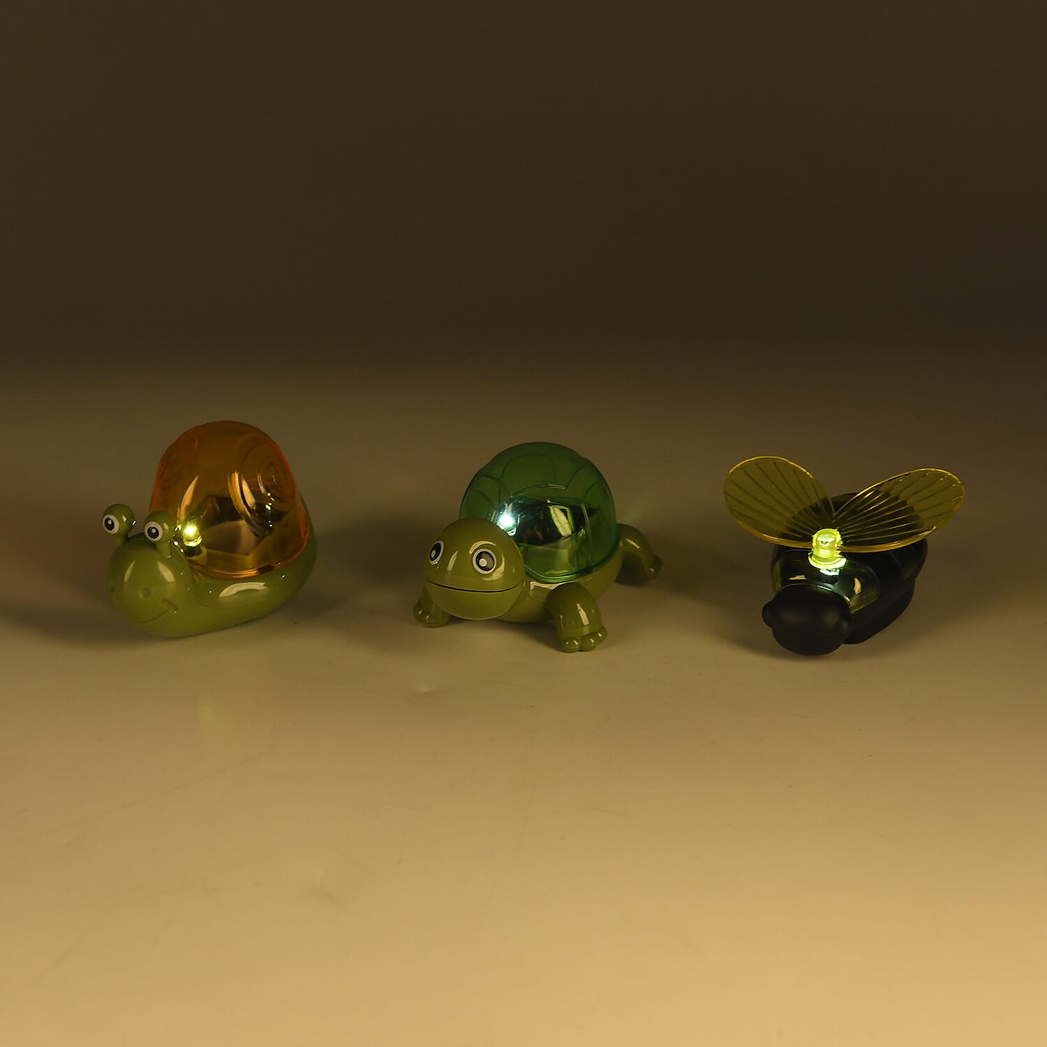Livmore Multi Color Snail, Bee and Tortoise Solar Light