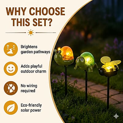 Livmore Multi Color Snail, Bee and Tortoise Solar Light