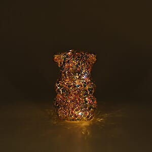 Livmore Multi Color Bear with Decoration