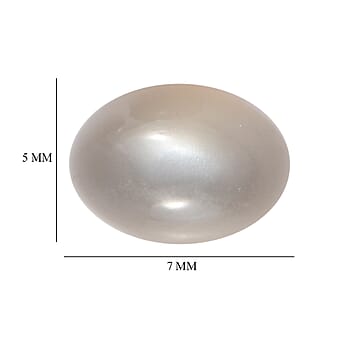Default Title - Product card gallery slide 4 (10178396062009)