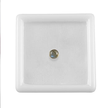 Default Title - Product card gallery slide 3 (10178397208889)