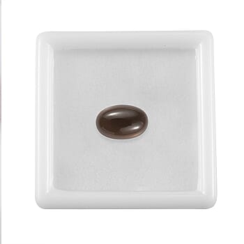 Default Title - Product card gallery slide 3 (10178398028089)