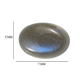 Default Title - Product card gallery slide 4 (10178399895865)