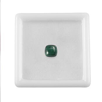 Default Title - Product card gallery slide 3 (10178401337657)