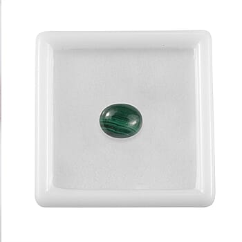 Default Title - Product card gallery slide 3 (10178401927481)