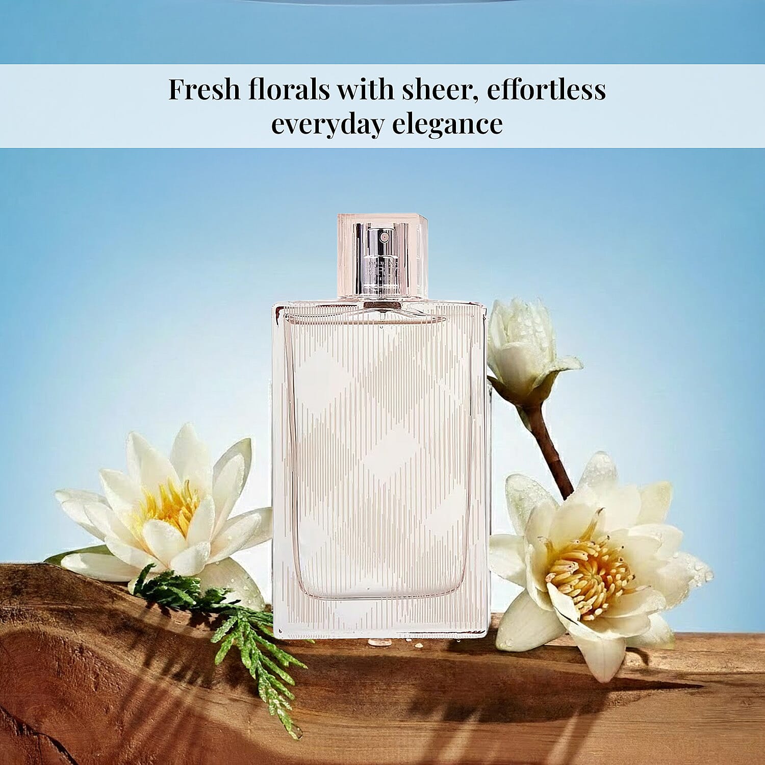 Burberry Brit Sheer/Burberry EDT Spray 3.3 Oz