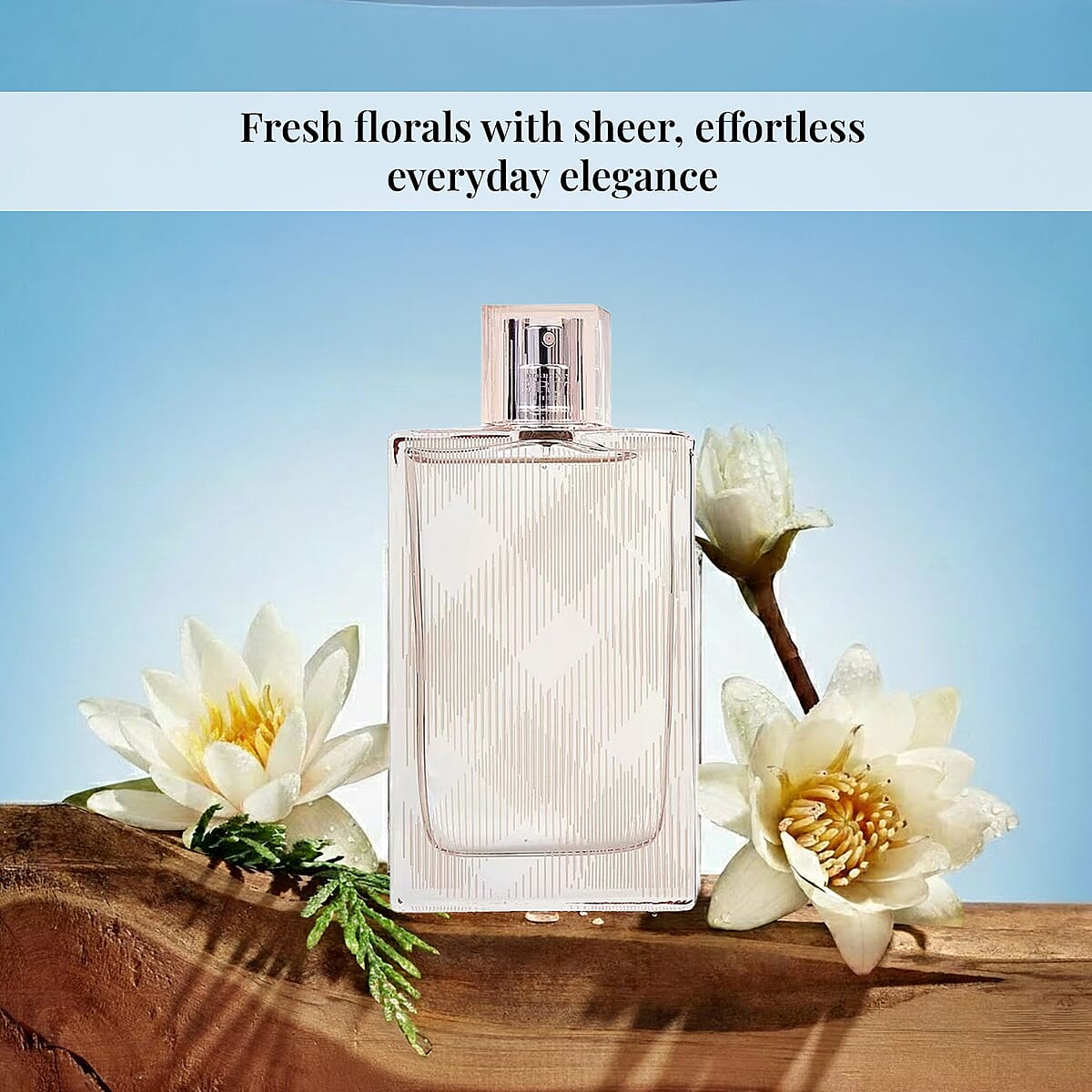 Burberry Brit Sheer/Burberry Edt Spray 3.3 Oz  image number 2