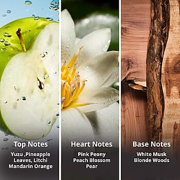 Default Title - Product card gallery slide 4 (10178401894713)