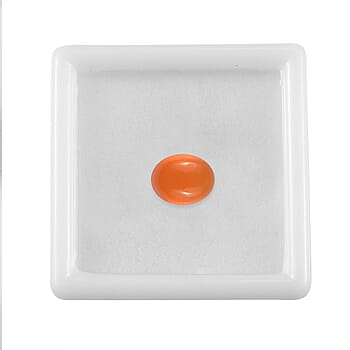 Default Title - Product card gallery slide 3 (10178402517305)
