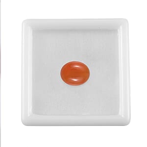 2.68 ctw Oval Cut Carnelian Loose Gemstone (11x9 mm)