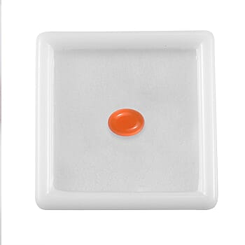 Default Title - Product card gallery slide 3 (10178402779449)