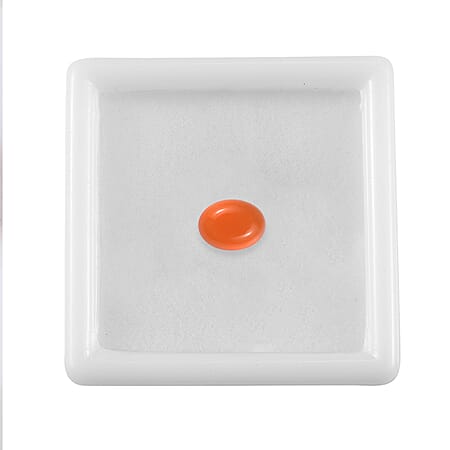 Default Title - Product card gallery slide 3 (10178402779449)