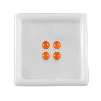Default Title - Product card gallery slide 3 (10178402615609)