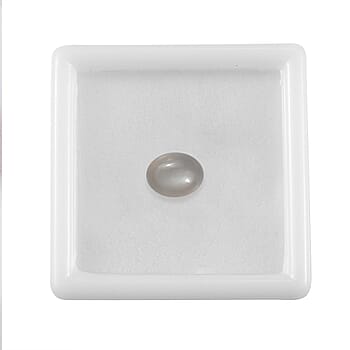 Default Title - Product card gallery slide 3 (10178402582841)