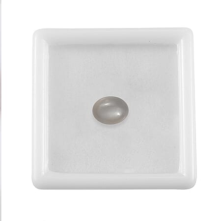 Default Title - Product card gallery slide 3 (10178402582841)
