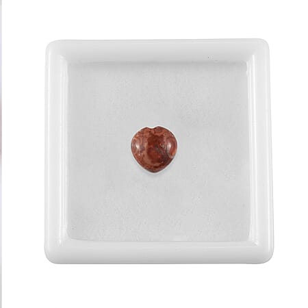 Default Title - Product card gallery slide 3 (10178404778297)
