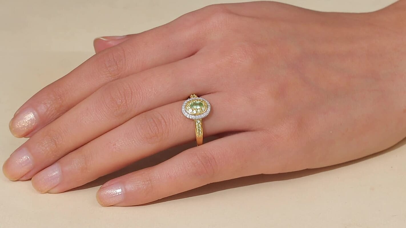 D'Joy Premium Tanzanian Mint Garnet, Multi Gemstone Ring in 18K Vermeil YG Over Sterling Silver (Size 10.0) 0.75 ctw