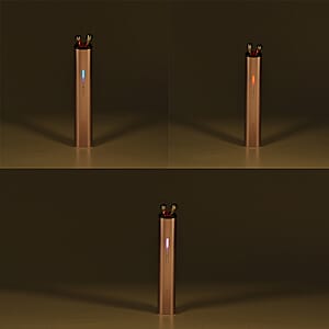 Beautech Rose Gold SJ37 Facial Massager