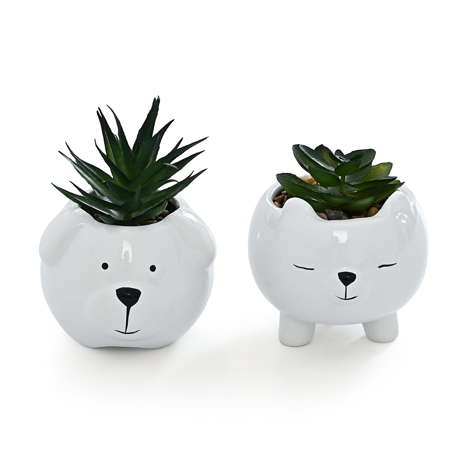 Livmore Artificial Bear Succulent Set of 2 Flower Pot