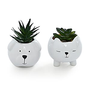 Livmore Artificial Bear Succulent Set of 2 Flower Pot