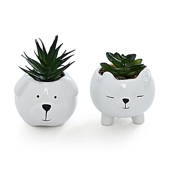 ["Bear"] - Product card gallery slide 3 (10227034587449)