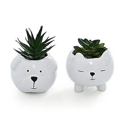 ["Bear"] - Product card gallery slide 3 (10227034587449)