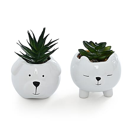 ["Bear"] - Product card gallery slide 3 (10227034587449)