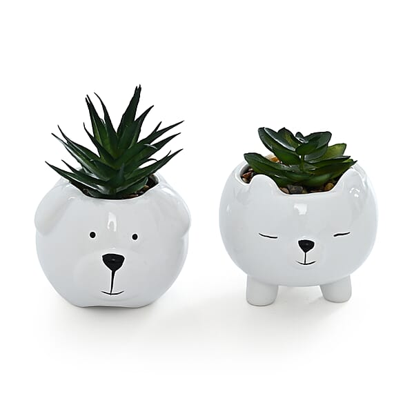 Livmore Artificial Bear Succulent Set of 2 Flower Pot