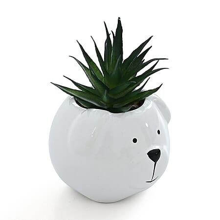 ["Bear"] - Product card gallery slide 4 (10227034587449)