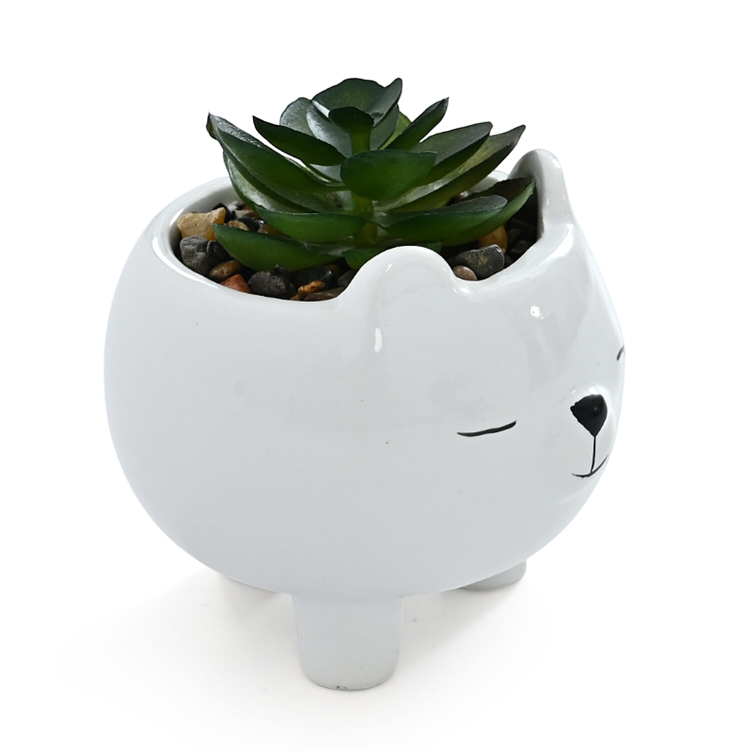 Livmore Artificial Bear Succulent Set of 2 Flower Pot