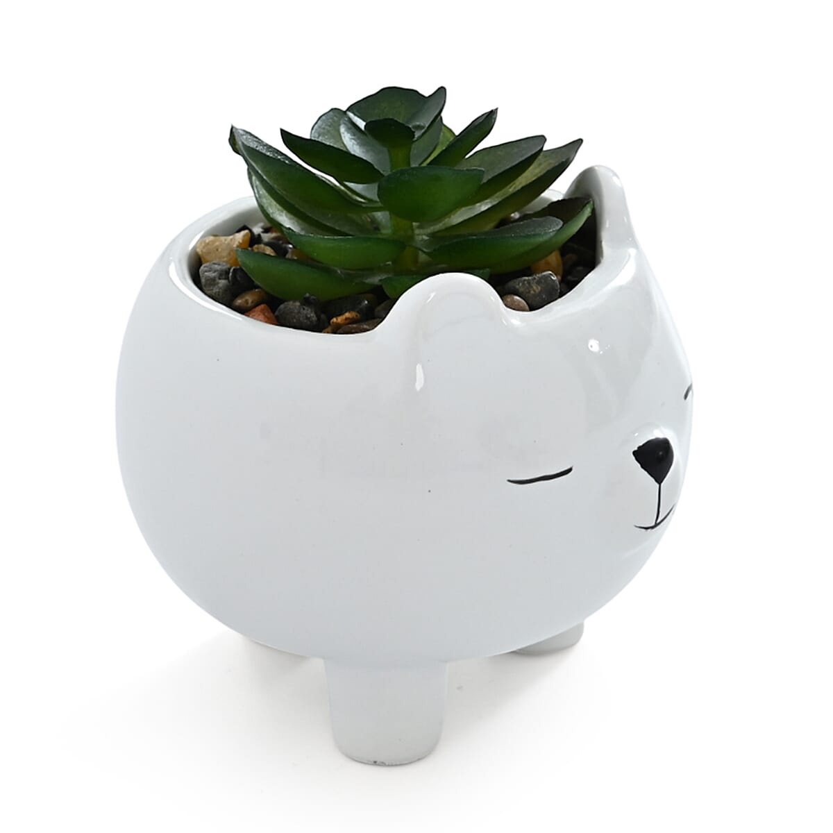 Livmore Artificial Bear Succulent Set of 2 Flower Pot image number 5
