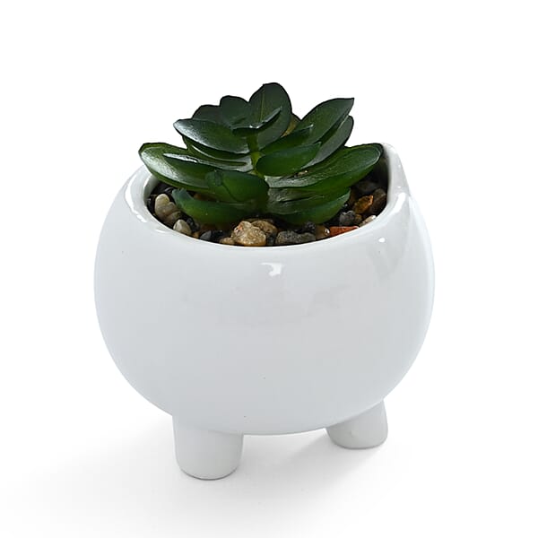 Livmore Artificial Bear Succulent Set of 2 Flower Pot