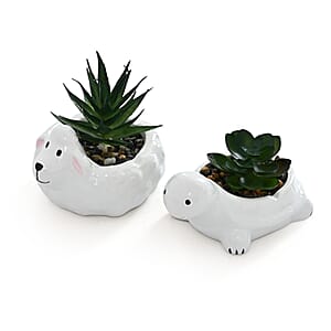 Livmore Artificial Sheep and Tortoise Succulent Set of 2 Flower Pot