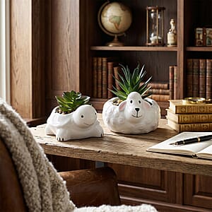 Livmore Artificial Sheep and Tortoise Succulent Set of 2 Flower Pot
