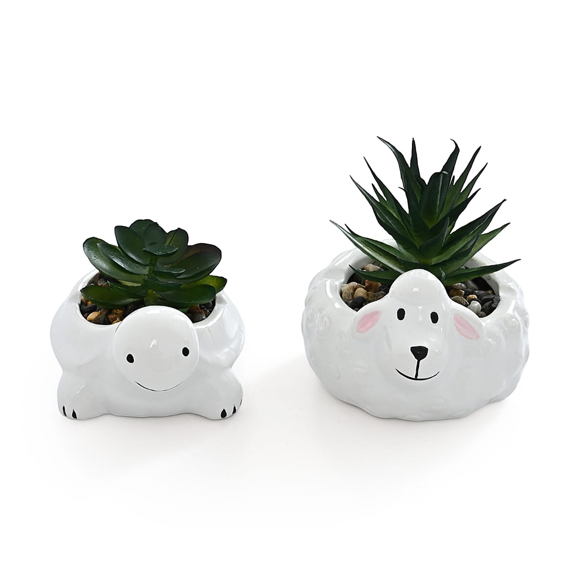 Livmore Artificial Sheep and Tortoise Succulent Set of 2 Flower Pot image number 2