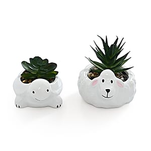 Livmore Artificial Sheep and Tortoise Succulent Set of 2 Flower Pot