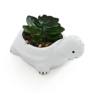 Livmore Artificial Sheep and Tortoise Succulent Set of 2 Flower Pot