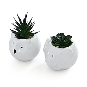 Livmore Artificial Owl and Elephant Succulent Set of 2 Flower Pot