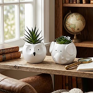 Livmore Artificial Owl and Elephant Succulent Set of 2 Flower Pot