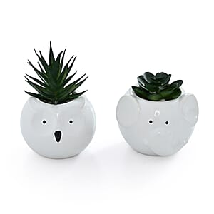 Livmore Artificial Owl and Elephant Succulent Set of 2 Flower Pot