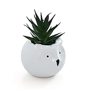 Livmore Artificial Owl and Elephant Succulent Set of 2 Flower Pot