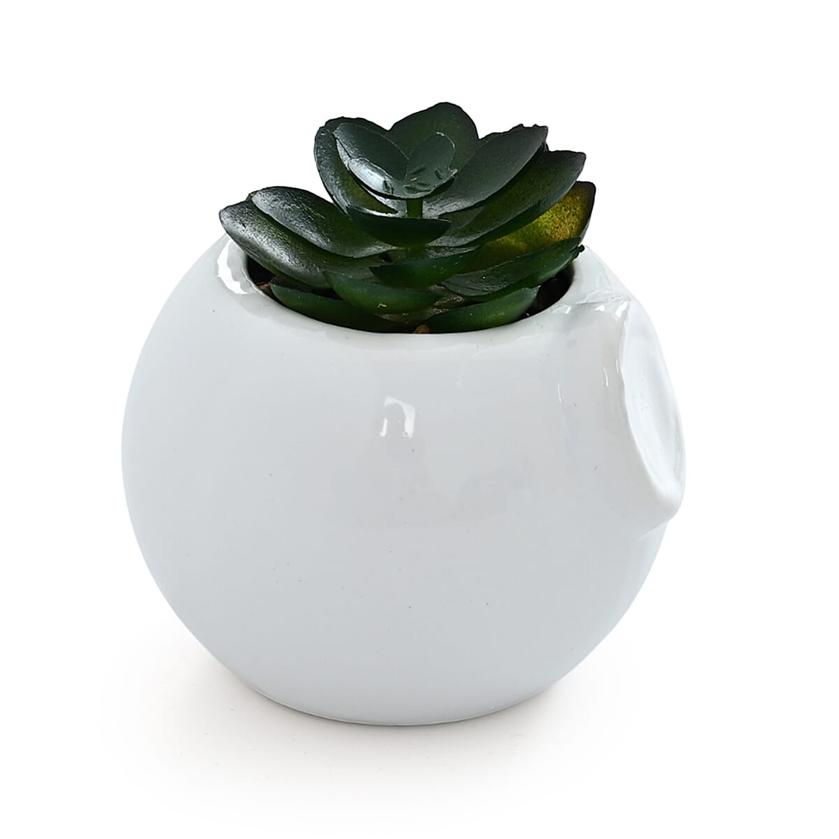 Livmore Artificial Owl and Elephant Succulent Set of 2 Flower Pot image number 6