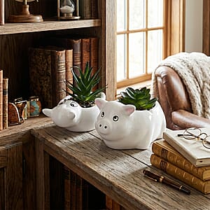 Livmore Artificial Goat and Pig Succulent Set of 2 Flower Pot