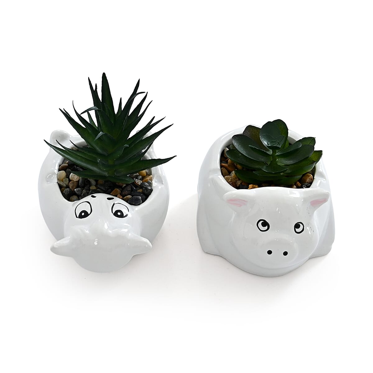 Livmore Artificial Goat and Pig Succulent Set of 2 Flower Pot image number 2