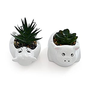 Livmore Artificial Goat and Pig Succulent Set of 2 Flower Pot