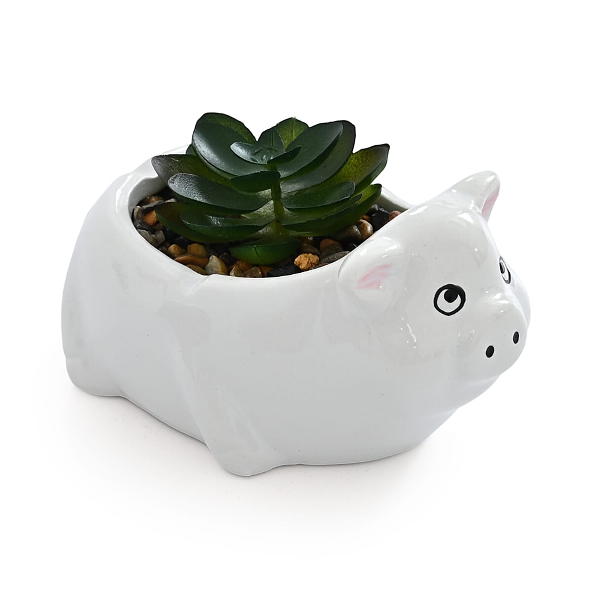 Livmore Artificial Goat and Pig Succulent Set of 2 Flower Pot image number 3