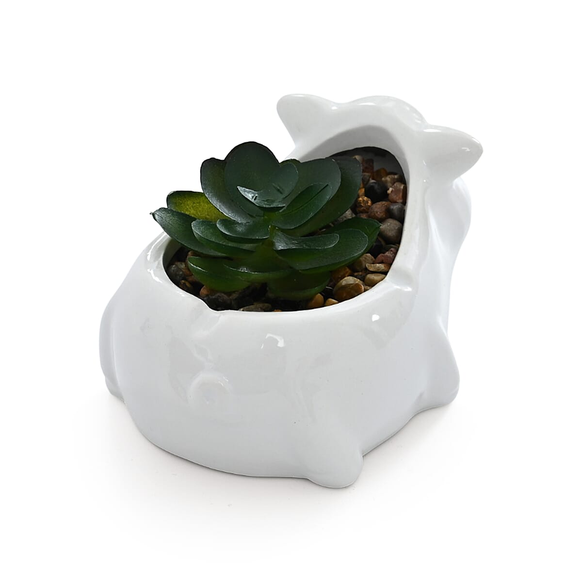 Livmore Artificial Goat and Pig Succulent Set of 2 Flower Pot image number 4