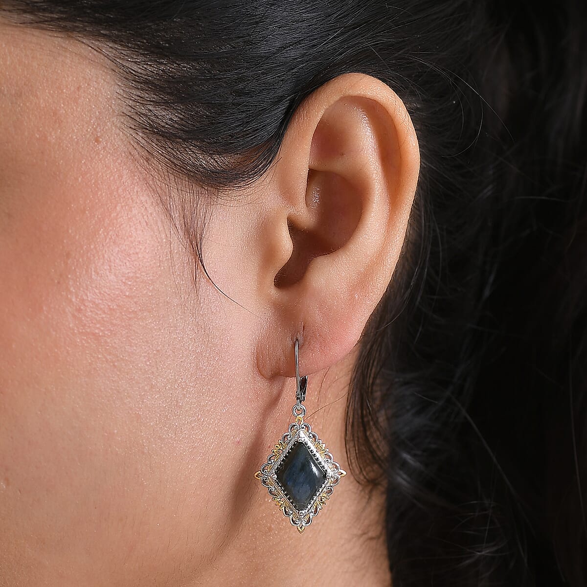 EverTrue Malagasy Labradorite 8.00 ctw Earrings in 18K YG Plated and Platinum Bond image number 2