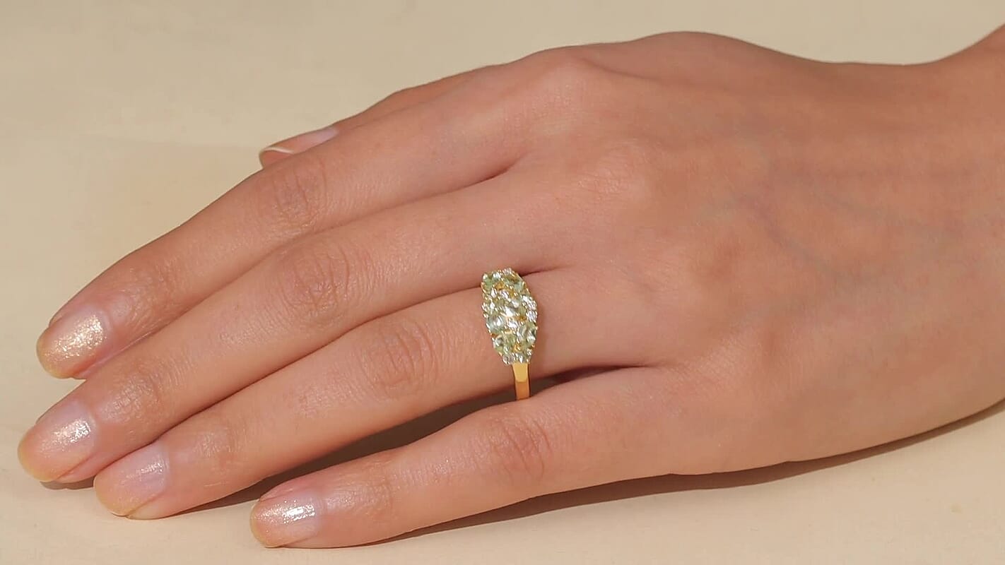 D'Joy Premium Tanzanian Mint Garnet, Moissanite Ring in 18K Vermeil YG Over Sterling Silver (Size 10.0) 1.70 ctw