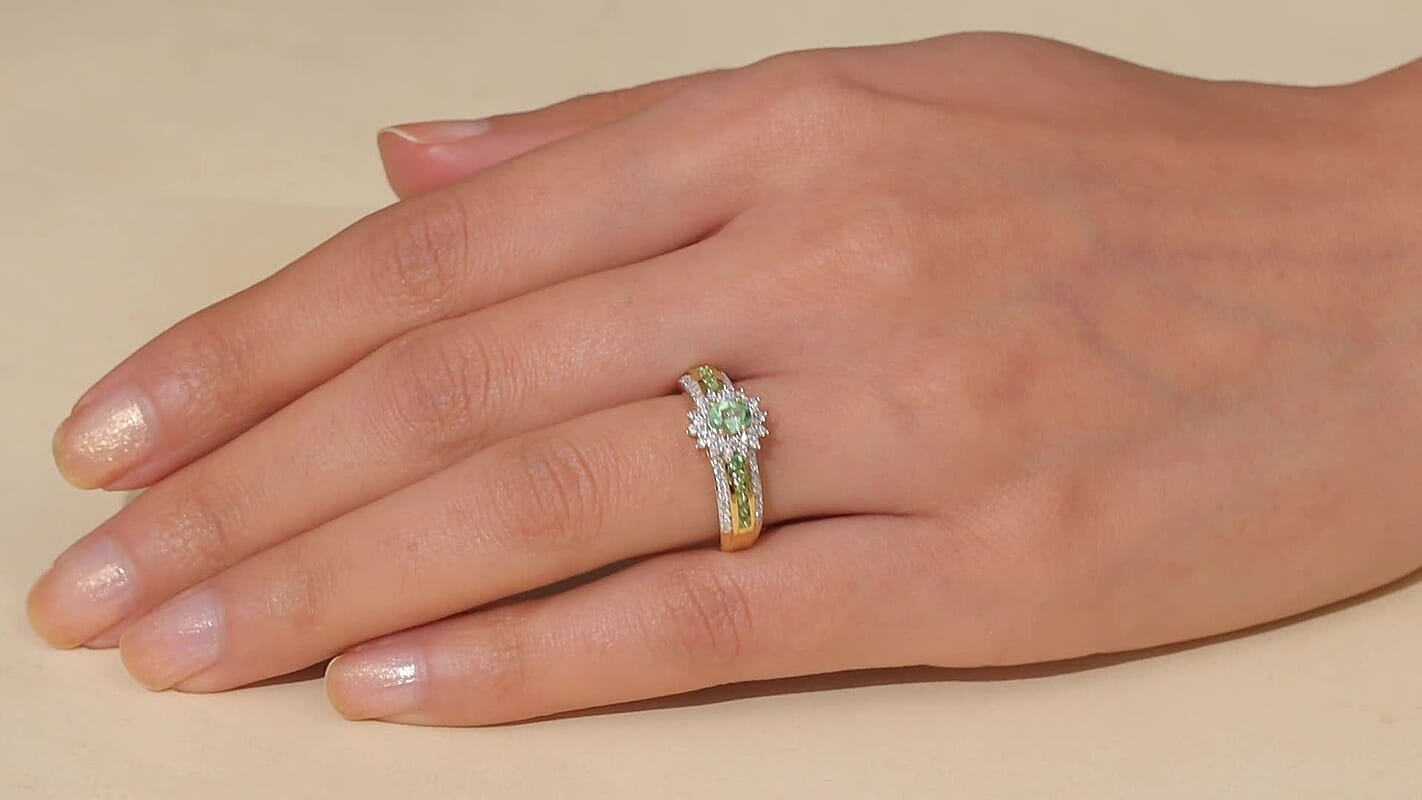 D'Joy Premium Tanzanian Mint Garnet, Moissanite Bloom Halo Ring in 18K Vermeil YG Over Sterling Silver (Size 10.0) 1.10 ctw
